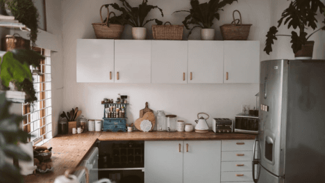 The Ultimate Guide to Keeping Your Home Dry and Mold-Free All Year Round