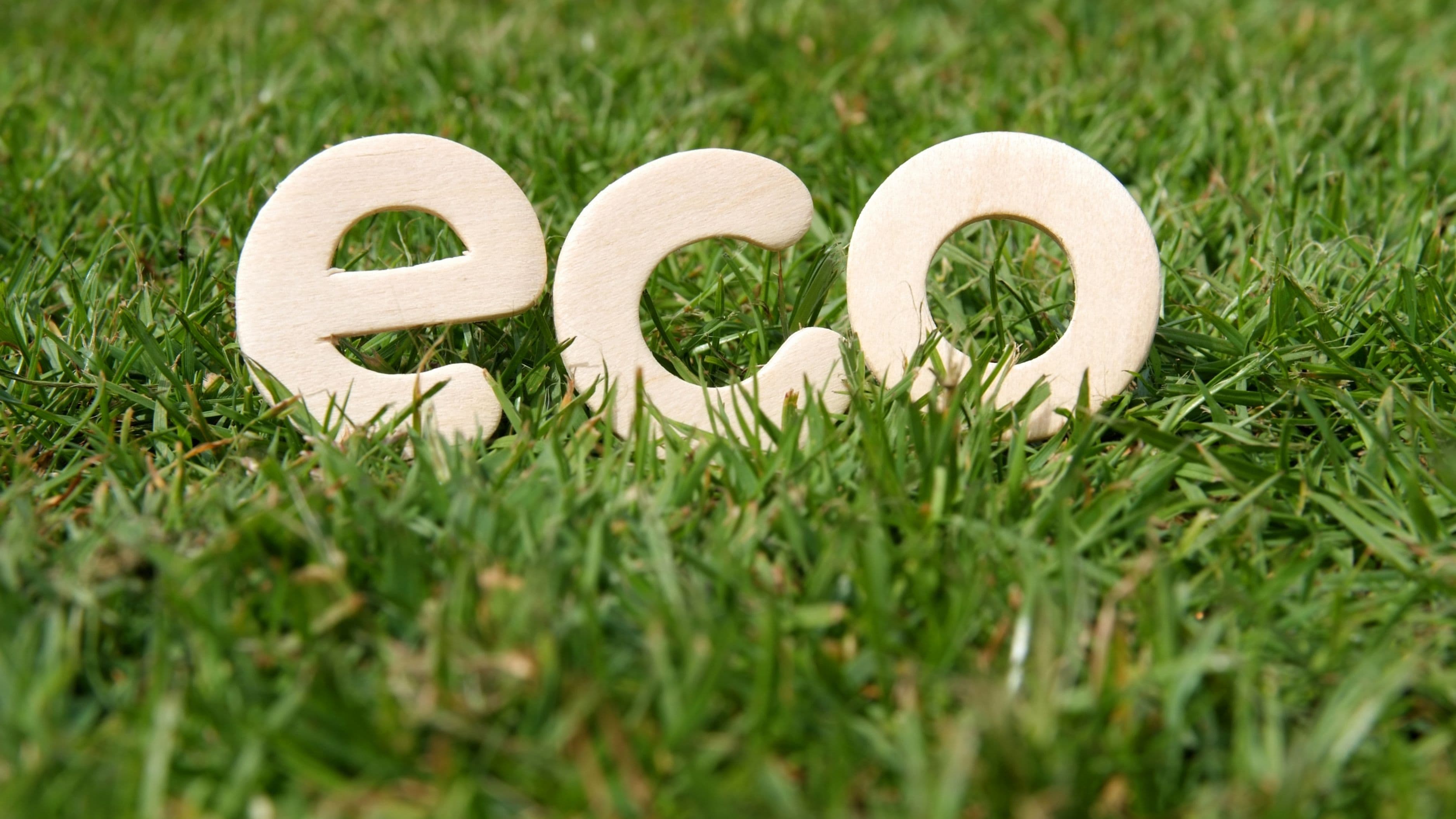 How to Choose Eco-Friendly Paint That Doesn't Sacrifice Coverage