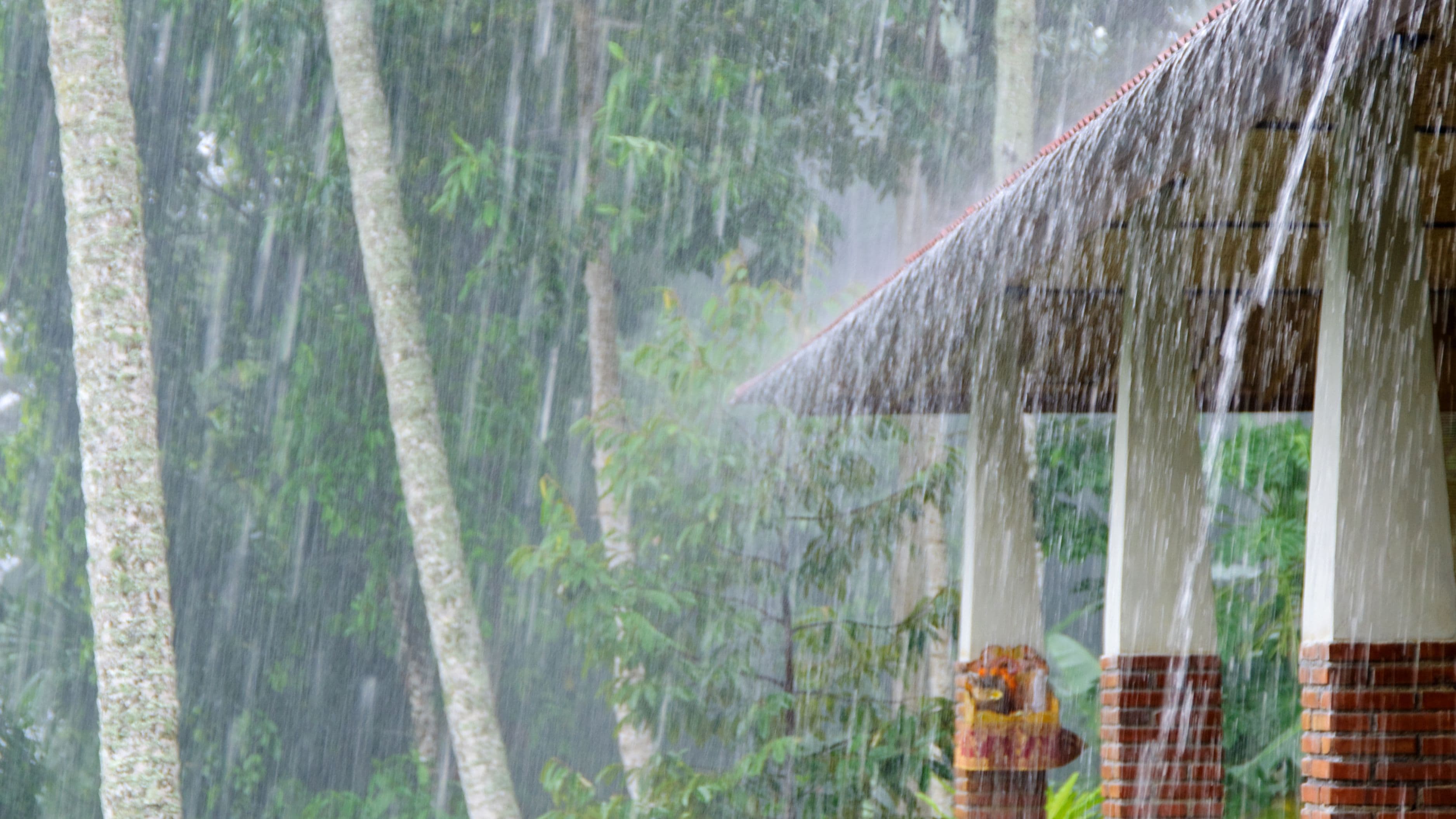 How to Design a Rainwater Harvesting System for Residential Use