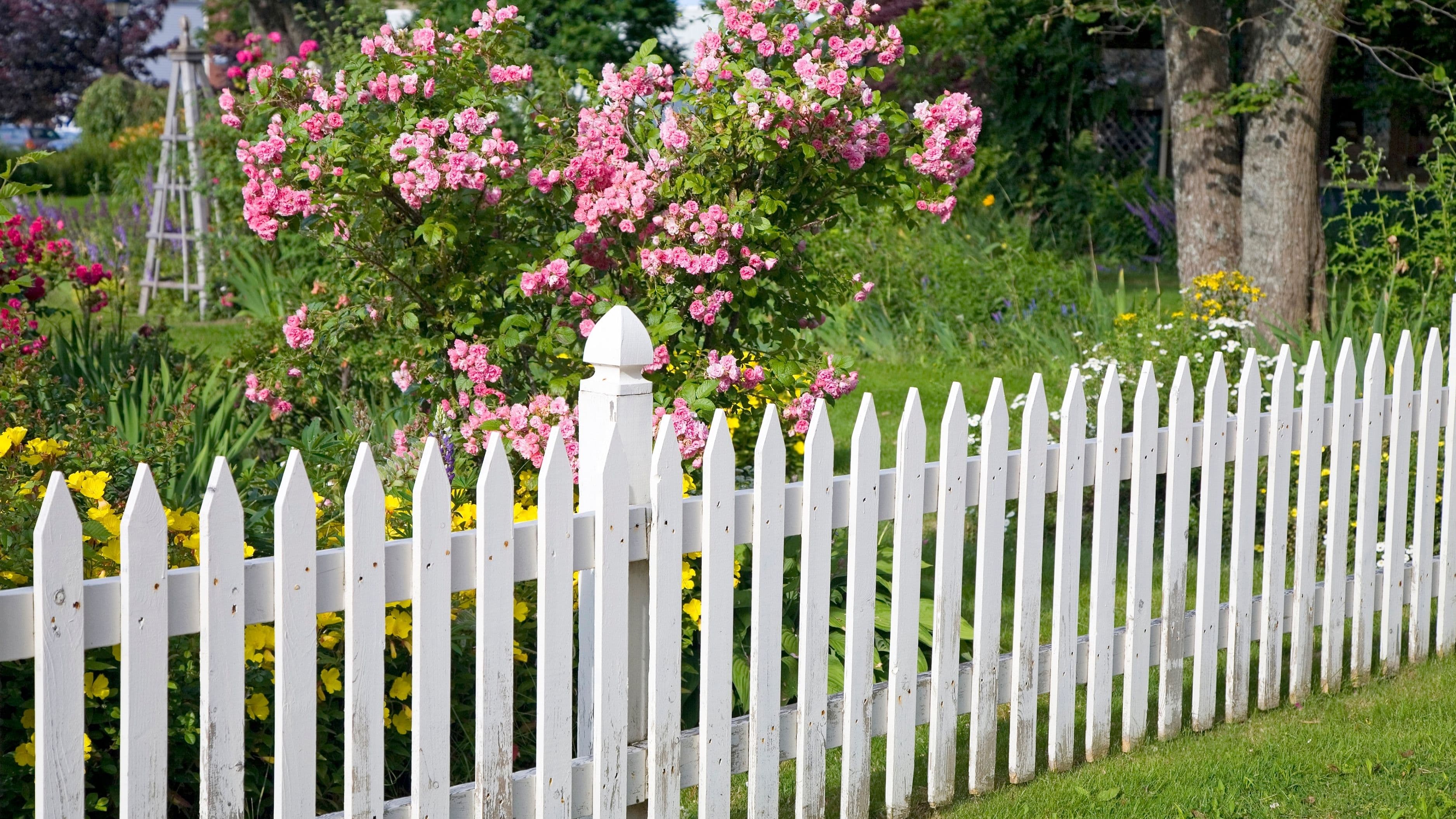 How to Add Vertical Garden Panels to a Small Outdoor Space